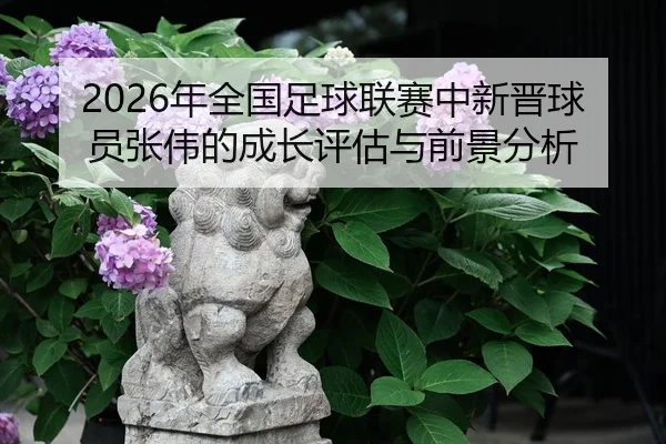 nian-quan-guo-zu-qiu-lian-sai-zhong-xin-jin-qiu-yuan-zhang-wei-de-cheng-zhang-ping-gu-yu-qian-jing-fen-xi-2-173.jpg