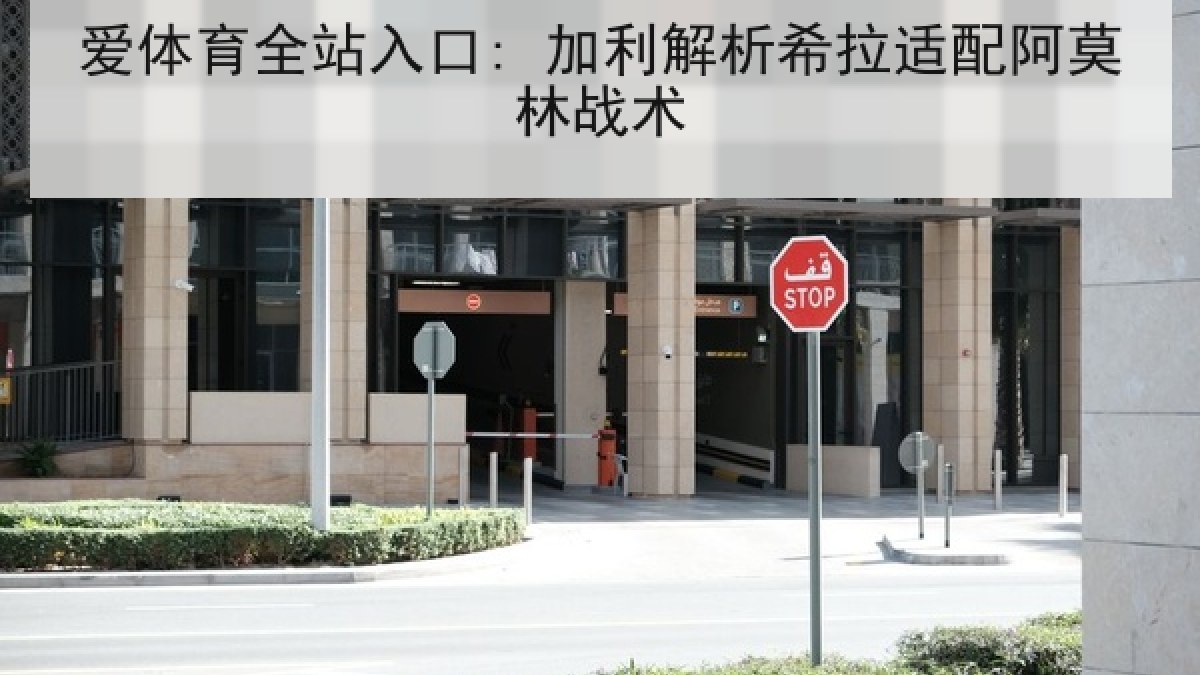 爱体育全站入口: 加利解析希拉适配阿莫林战术